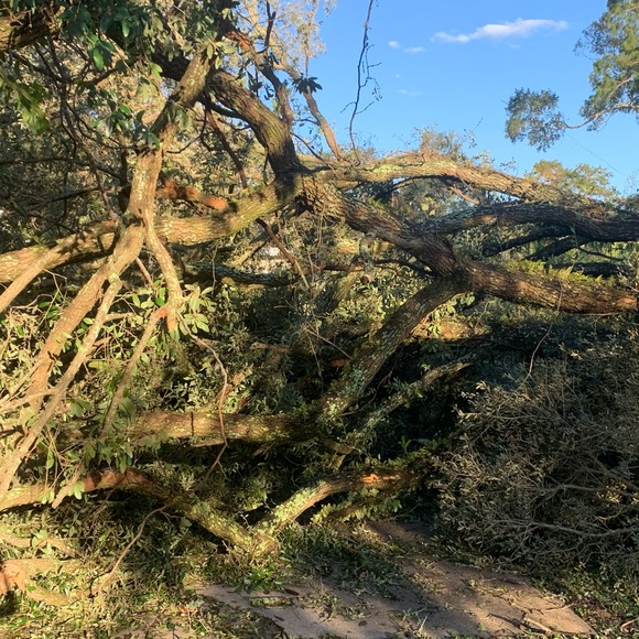 UPDATE - Picture 8 of 8